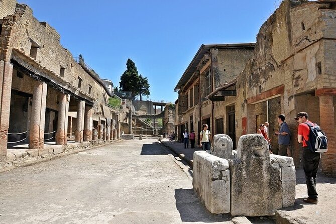 Half Day Excursion to Herculaneum from Naples with Lunch - Is $123.10 a fair price?