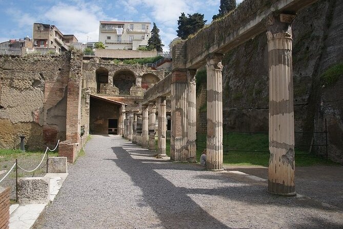 Half Day Excursion to Herculaneum from Naples with Lunch - Who should book this half-day outing?