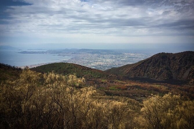 Half-Day Vesuvius Drive and Summit Hike from Naples with Lunch - The 90-minute hike to the crater