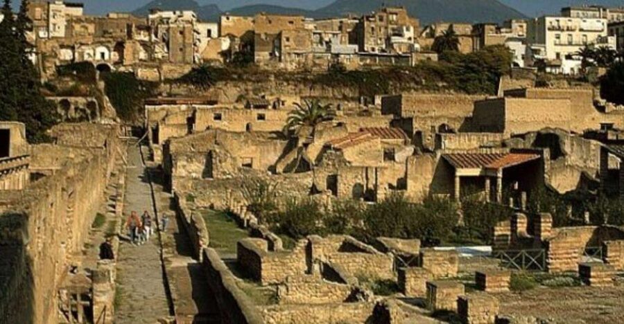 Herculaneum: 2hour Shared Guided Tour + entry tickets - Frescoed villas and preserved domestic details