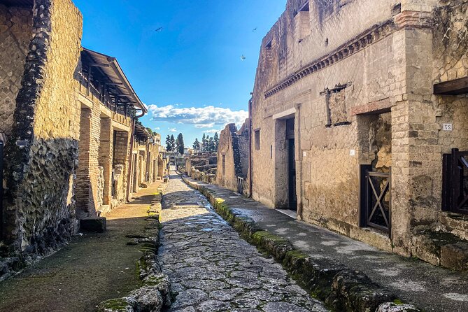 Herculaneum 3D Skip the line Walking Tour - What you see at the archaeological park