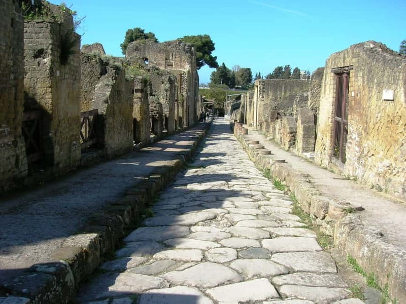 HERCULANEUM AND VESUVIUS: PRESTIGE TOUR FROM NAPLES - The minibus from central Naples