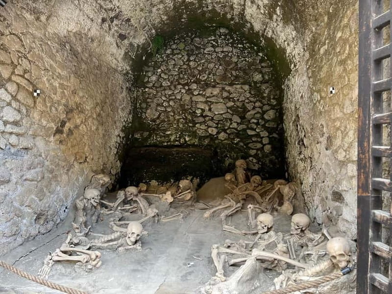 HERCULANEUM AND VESUVIUS: PRESTIGE TOUR FROM NAPLES - The onboard assistant and audio guide