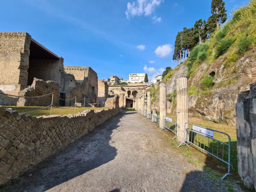 Herculaneum Archaeological Park smart Audio Tour - The domus: where the guide earns its price