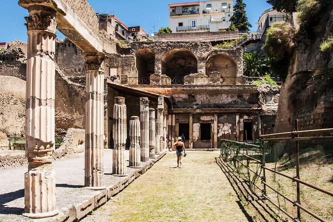 Herculaneum Guided Group Tour from Naples - Is the $82.06 price good value?