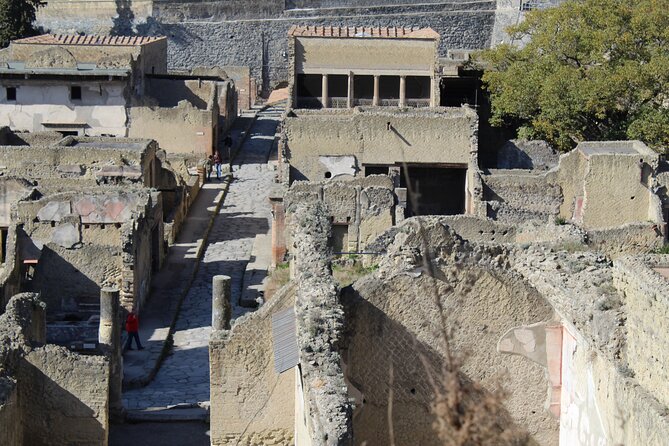 Herculaneum Private Guided Tour Led by a Local Top-rated Guide - All inclusive - The House of the Mosaic Atrium and the House of the Deer