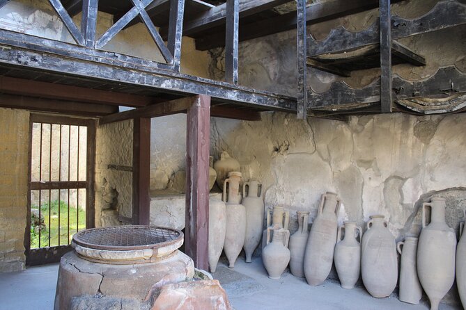 Herculaneum Private Guided Tour Led by a Local Top-rated Guide - All inclusive - What the private format changes