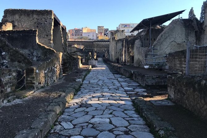 Herculaneum - Private Tour (skip-the-line admission included) - The House of the Deer and Herculaneum’s grand homes