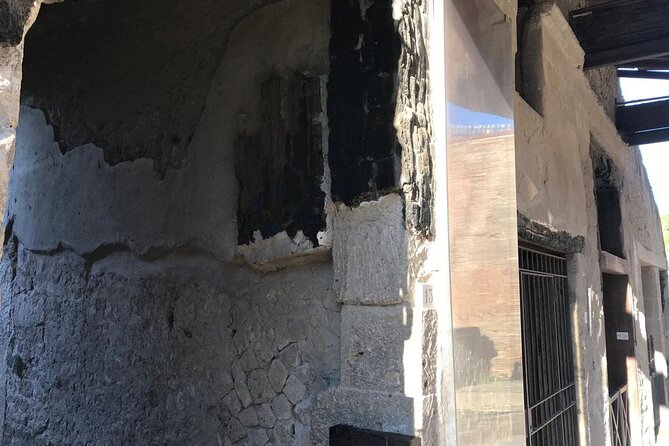 Herculaneum - Private Tour (skip-the-line admission included) - Timing, flexibility, and what can go wrong