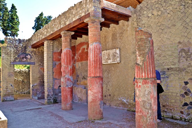 Herculaneum Private Tour with an Archaeologist - The House of the Black Salon and Samnitic House