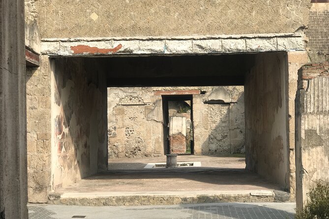 Herculaneum Private Tour with an Archaeologist - The House of the Skeleton and the Samnite House