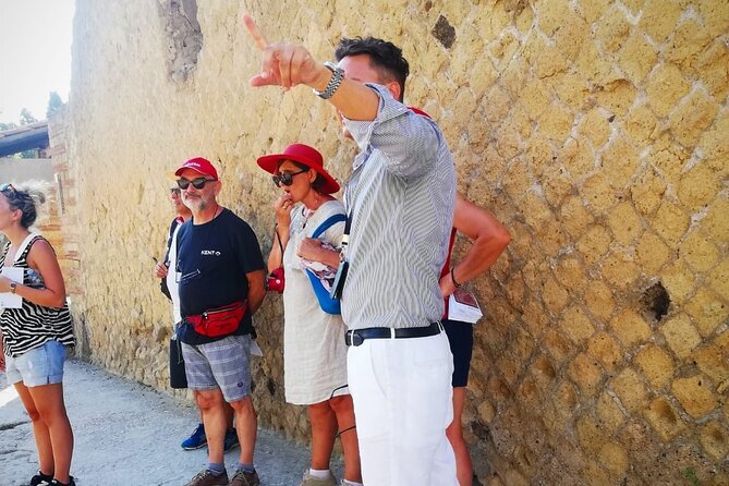 Herculaneum Private Tour with an Expert Archaeologist - Starting at the Archaeological Park of Herculaneum
