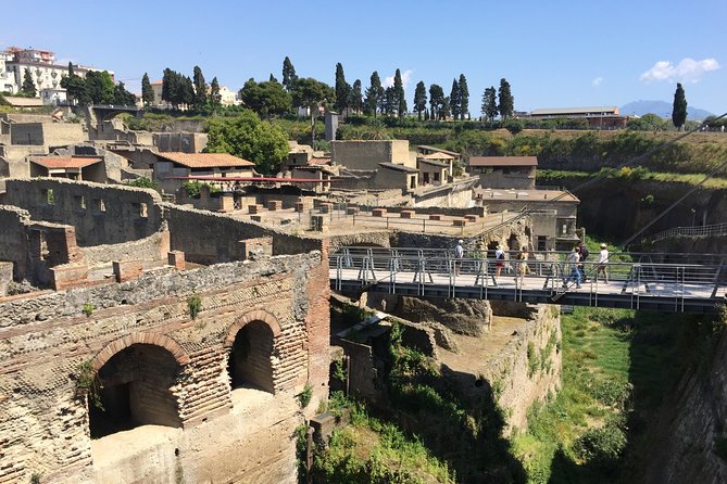 Herculaneum Private Walking Guided Tour 2 hours - How the $195.91 price measures up