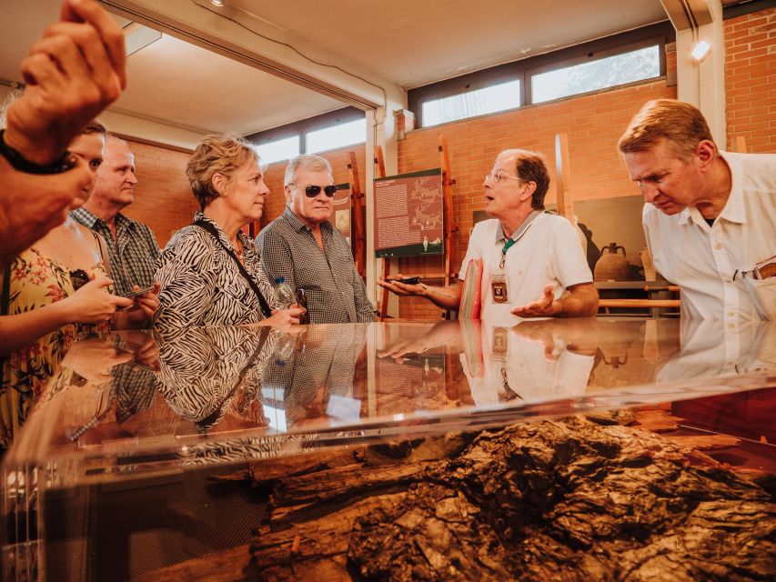 Herculaneum: Private Walking Tour with Archeologist Guide - The House of the Black Saloon and Herculaneum homes