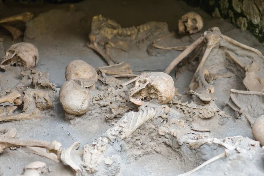Herculaneum: Private Walking Tour with Archeologist Guide - The public world of the Forum and Augustales shrine