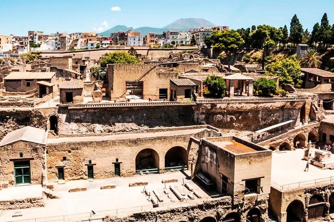 Herculaneum Ruins Private Half-Day Tour - Key points to know before booking
