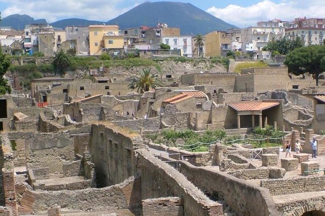 Herculaneum Ruins Private Half-Day Tour - Who will get the most from this outing