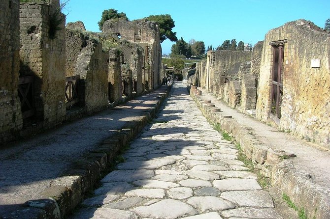 Herculaneum Ruins Private Half-Day Tour - The ride from Naples or Sorrento