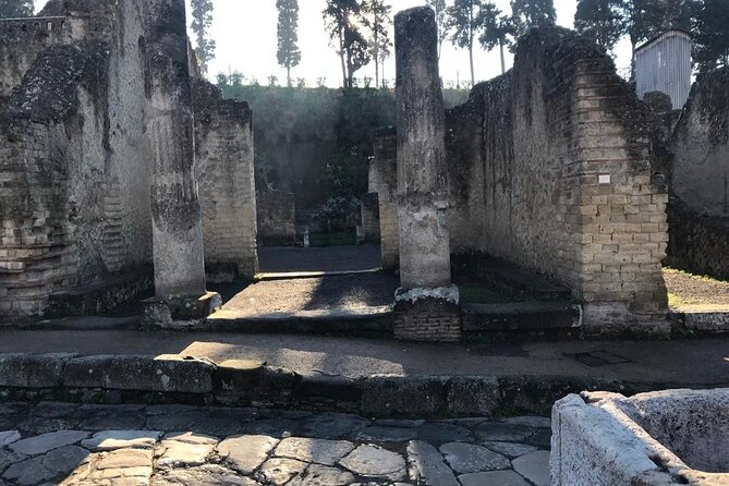 Herculaneum - Small Group Tour - The houses that make the visit worthwhile