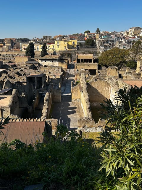 Herculaneum - Small Group Tour (admission included) - Is $75 a fair price?