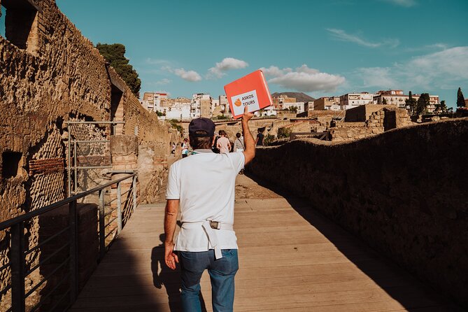 Herculaneum Small Group Tour and Ticket With an Archaeologist - M. Nonius Balbus and public honor