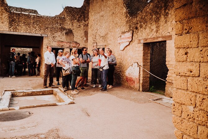 Herculaneum Small Group Tour and Ticket With an Archaeologist - Casa del Rilievo di Telefo and private access