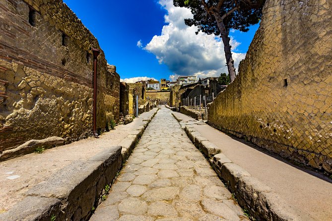Herculaneum small group tour with an archaeologist - skip the line - Roman bathing at the Central Thermae