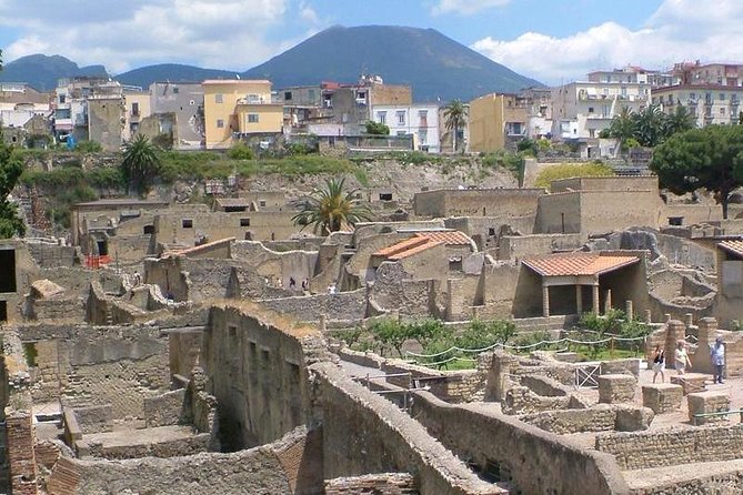 Herculaneum walking tour with a professional Guide - The preserved homes are the main event