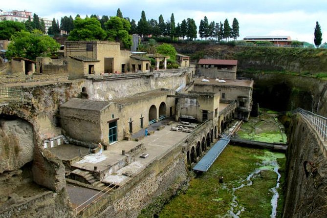 Herculaneum walking tour with a professional Guide - Walking the archaeological park in two hours