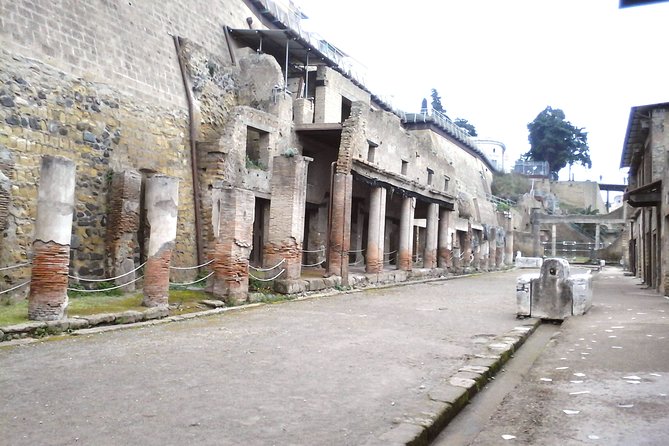 Herculanium guided tour - Carbonized wood, frescoes, and houses with upper floors