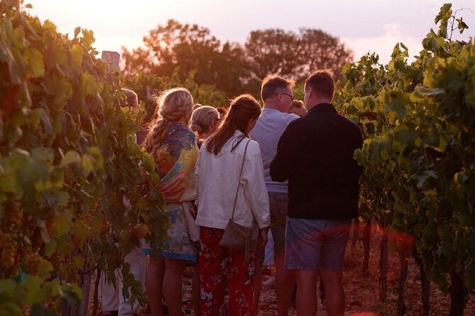 History & Local Wines: Amphitheater, Mitrium and Winery Visit - The value of a $868.20 private tour