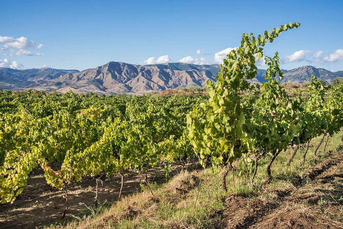 History & Local Wines: Amphitheater, Mitrium and Winery Visit - Who will enjoy this experience most