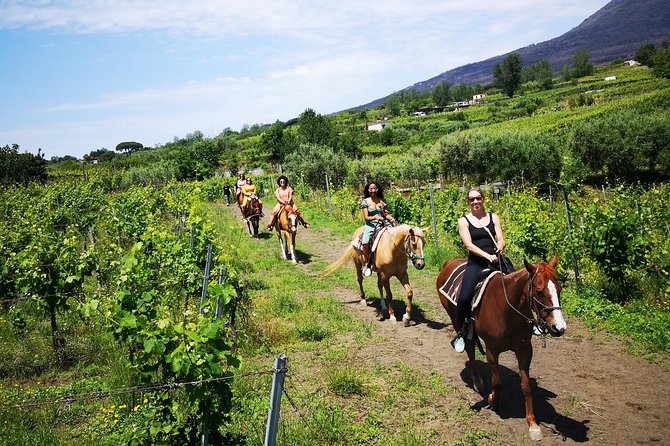 Horseback Riding on Vesuvius - A vineyard ride below the Vesuvius crater