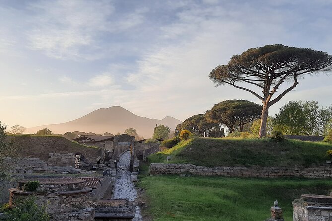 Late Afternoon Best time to visit Pompei on a private tour - The Forum and Temple of Apollo