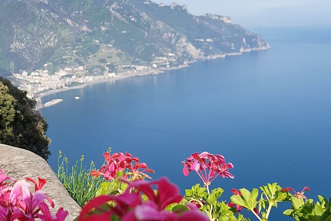 Luxury Tour from Naples to Amalfi Coast - Is $444.09 per person good value?