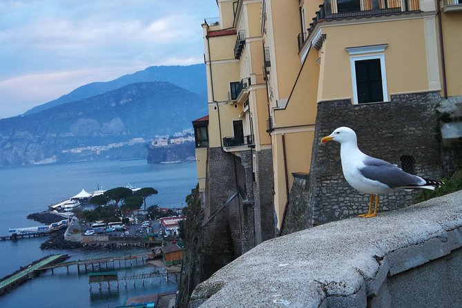 Minivan Tour | Positano Sorrento and Pompeii whit local driver - Private minivan or public transport?
