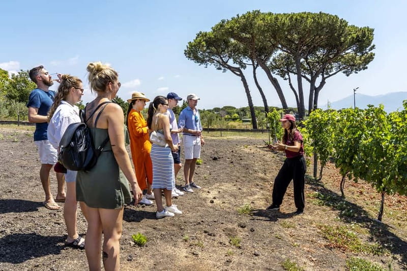 Mount Vesuvius: 5 Wine Tastings with Tour & Lunch Included - Walking through volcanic vineyards