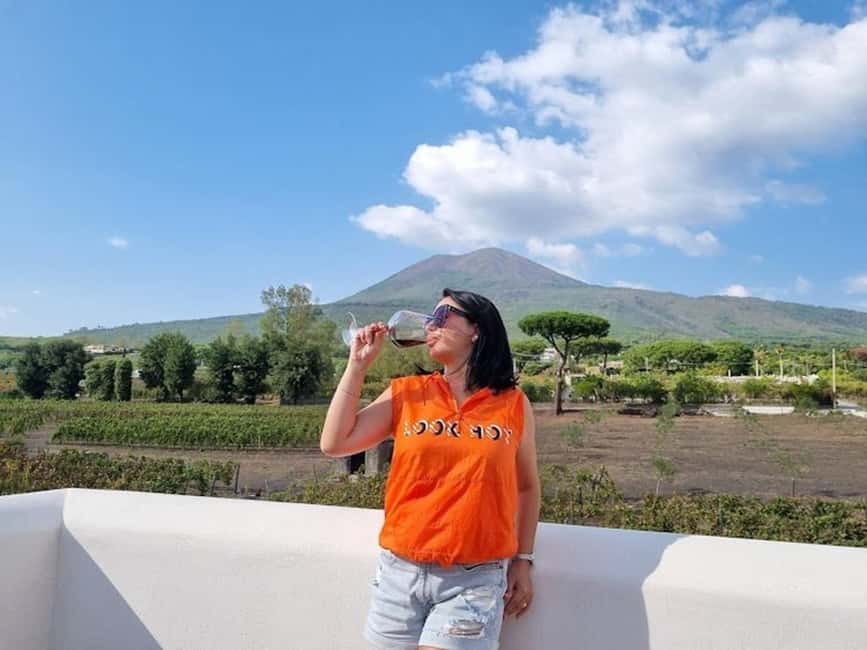 Mount Vesuvius: 5 Wine Tastings with Tour & Lunch Included - From grape to bottle in the cellar