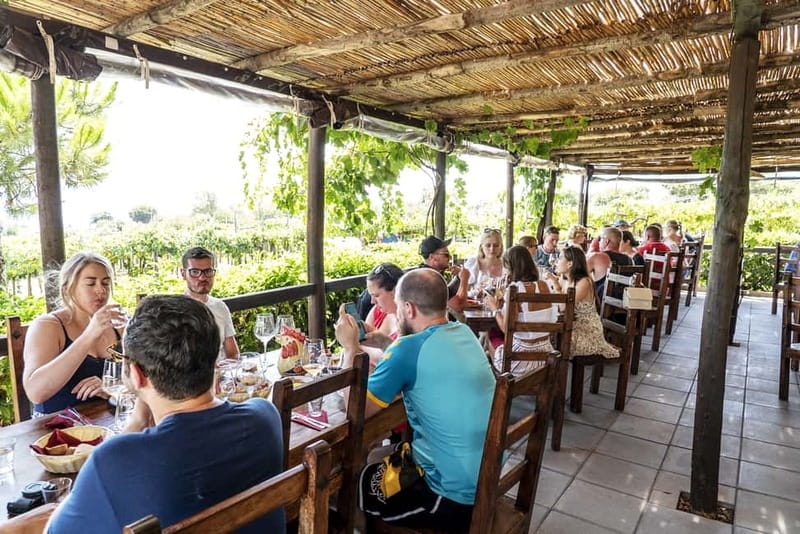 Mount Vesuvius: 5 Wine Tastings with Tour & Lunch Included - Who will enjoy this winery visit
