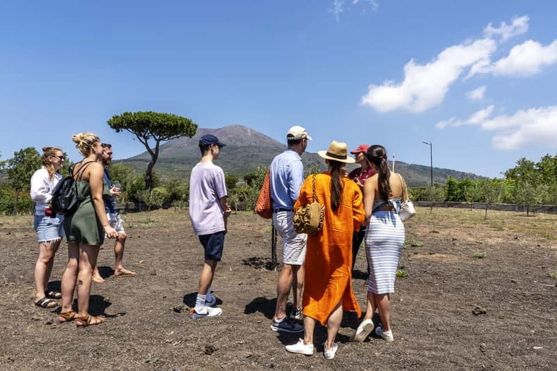 Mount Vesuvius: 5 Wine Tastings with Tour & Lunch Included - Practical advice before you go