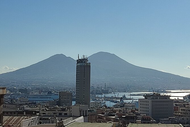 Mount Vesuvius and Pompeii private tour - Mount Vesuvius: the climb and the view