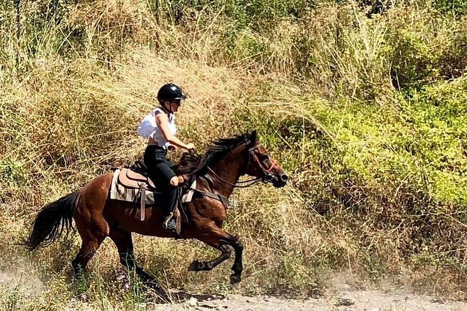 Mount Vesuvius Guided Horse Riding Tour with Sample Wine - Why This Ride Shows Vesuvius in a Different Way