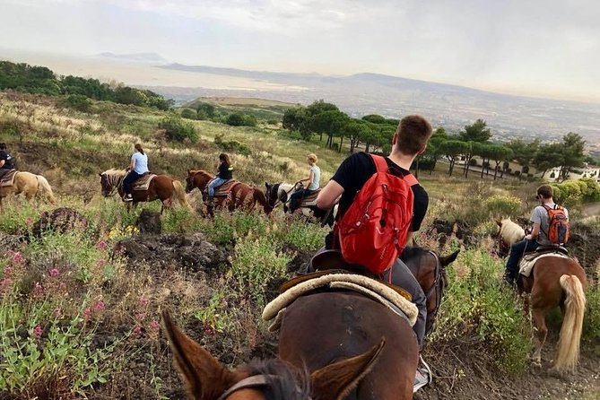 Mount Vesuvius Guided Horse Riding Tour with Sample Wine - Homemade Wine and Food at the Family Ranch