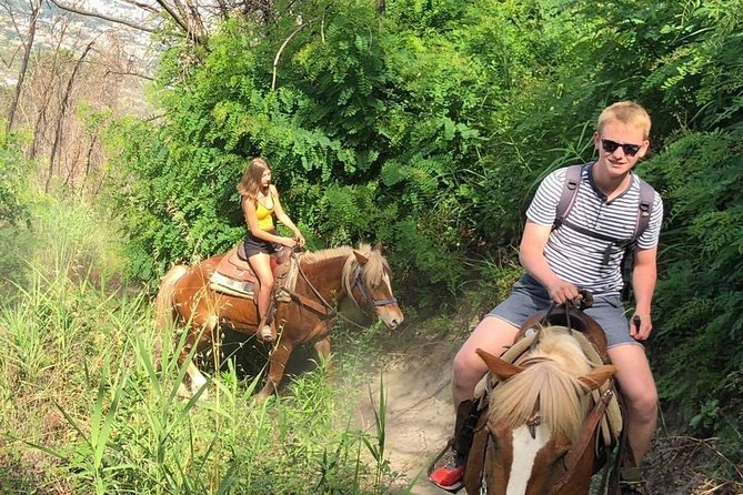 Mount Vesuvius Guided Horse Riding Tour with Sample Wine - How Much Value Do You Get for $107.68?