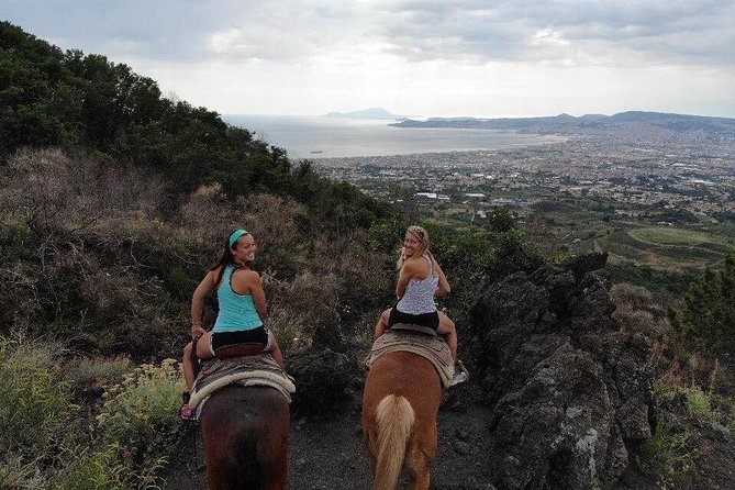 Mount Vesuvius Guided Horse Riding Tour with Sample Wine - The Important Animal Welfare Question
