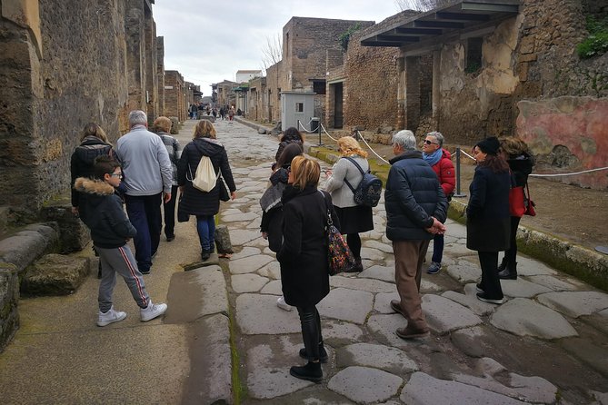 Mount Vesuvius Shore Tour, Pompeii & Winery Vesuvius Winery - One volcanic day from Naples