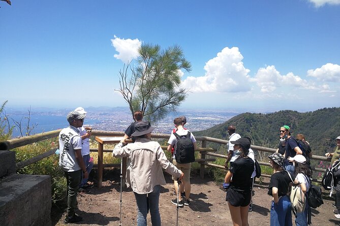 Mount Vesuvius Shore Tour, Pompeii & Winery Vesuvius Winery - Mount Vesuvius and the crater walk