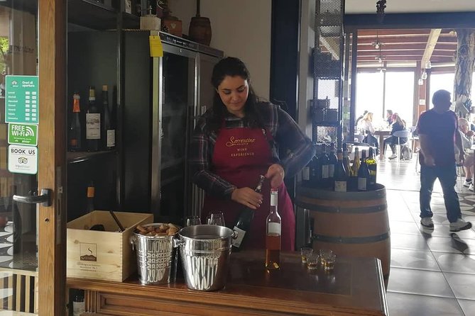 Mount Vesuvius Shore Tour, Pompeii & Winery Vesuvius Winery - Practical booking advice