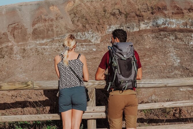 Mount Vesuvius Skip the Line Ticket + Multilingual Audio Guide - Key points to know before you book