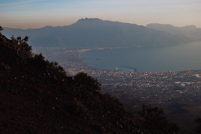Mount Vesuvius Skip the Line Ticket + Multilingual Audio Guide - The audio guide and the independent format